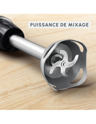 Mixeur Plongeant QuickChef 3en1 1000W
