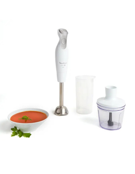 Mixeur Plongeant DailyChef 600W