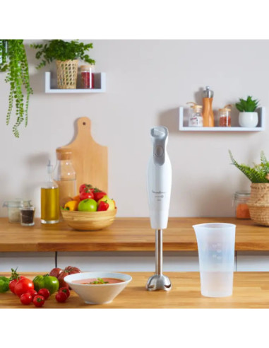 Mixeur Plongeant DailyChef 600W