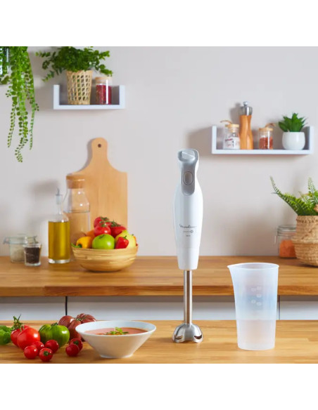 Mixeur Plongeant DailyChef 600W