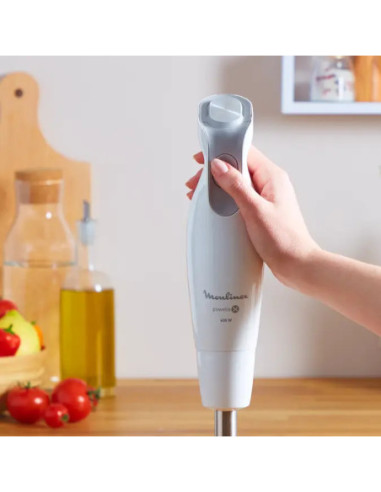 Mixeur Plongeant DailyChef 600W