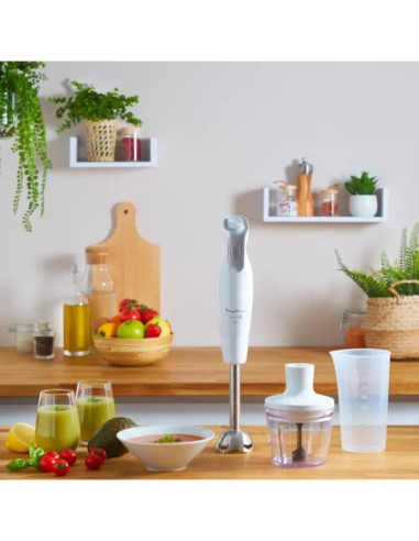 Mixeur Plongeant DailyChef 600W