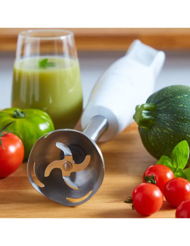 Mixeur Plongeant DailyChef 600W