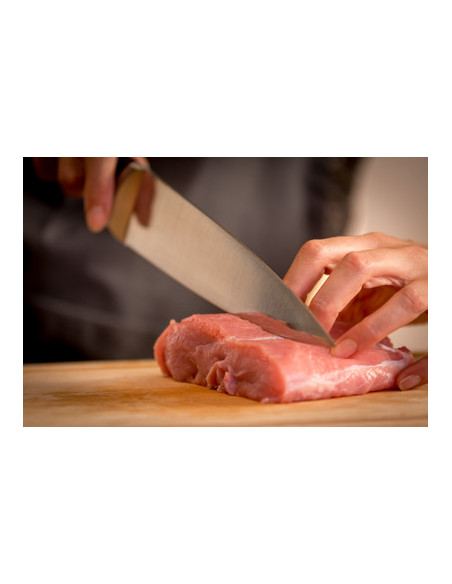 Couteau de Chef Ice Force 20cm