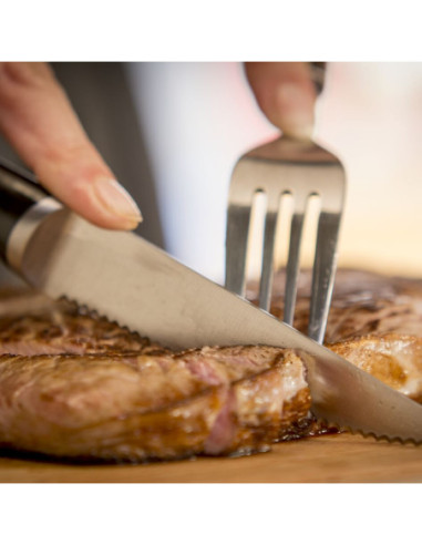 Couteau à Steak Ice Force Set de 4