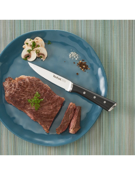 Couteau à Steak Ice Force Set de 4