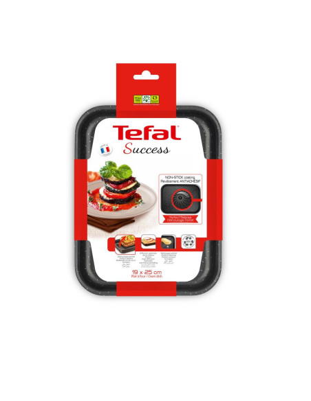 Mini Plat à Four Success 20x26cm