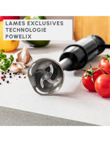 Mixeur Plongeant OptiChef 3en1 1000W