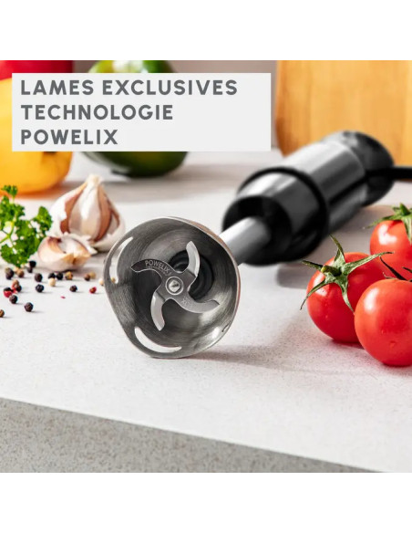 Mixeur Plongeant OptiChef 3en1 1000W