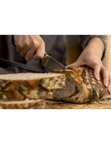 Couteau à Pain Ice Force 20cm