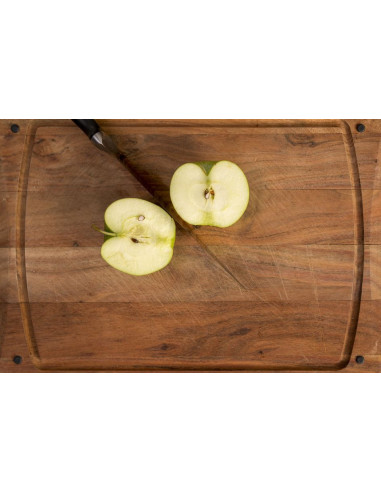 Couteau à Trancher Ice Force 20cm