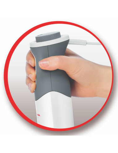 Mixeur Plongeant Optichef 1000W 2EN1