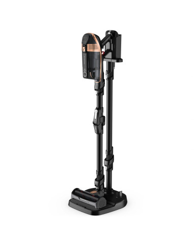 ASPIRATEUR BALAI SANS FIL X-FORCE FLEX 15.6