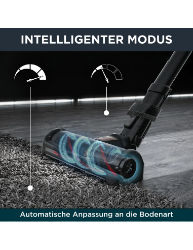 Aspirateur Balai Sans Fil X-FORCE FLEX 15.6