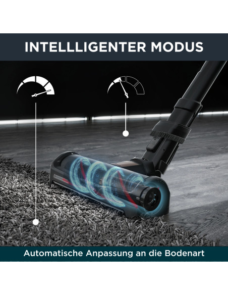 Aspirateur Balai Sans Fil X-FORCE FLEX 15.6