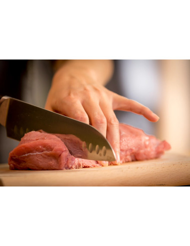 Ice Force Couteau Santoku 18cm