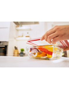 MasterSeal Boîte Rectangulaire 2.0L En Verre 2