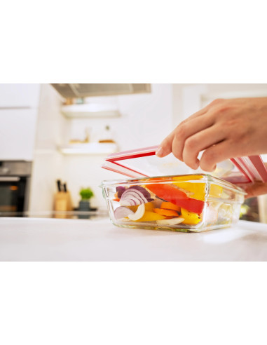 MasterSeal Boîte Rectangulaire 2.0L En Verre