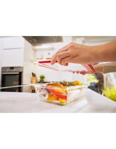 MasterSeal Boîte Rectangulaire 2.0L En Verre