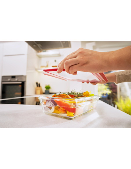 MasterSeal Boîte Rectangulaire 2.0L En Verre