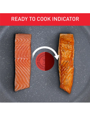 Tefal Healthy Chef – Sauteuse 24 cm