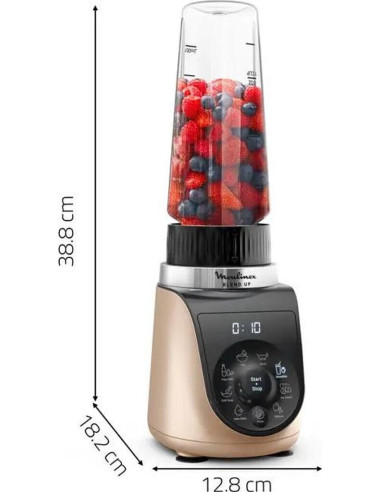 Blend Up - Mini Blender Puissant 1000 W