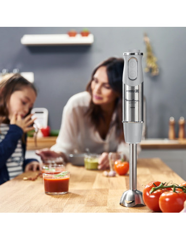 Mixeur à main QuickChef – Batteur sans accessoires, 1 accessoire Gris