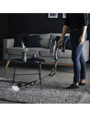 Aspirateur Balai Sans Fil X-Force Flex 14.60 Kit Animal