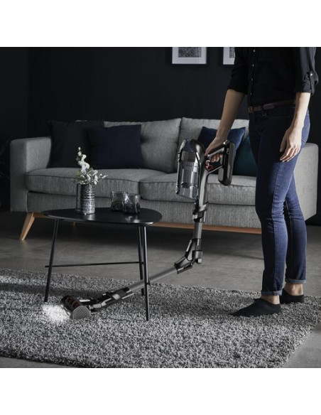 Aspirateur Balai Sans Fil X-Force Flex 14.60 Kit Animal