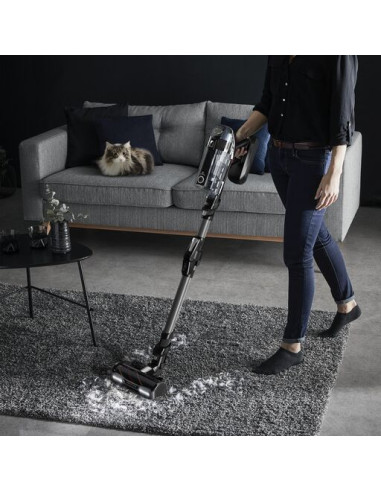 Aspirateur Balai Sans Fil X-Force Flex 14.60 Kit Animal