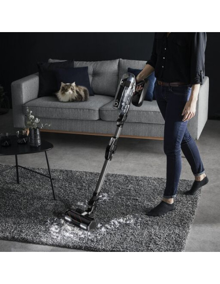 Aspirateur Balai Sans Fil X-Force Flex 14.60 Kit Animal