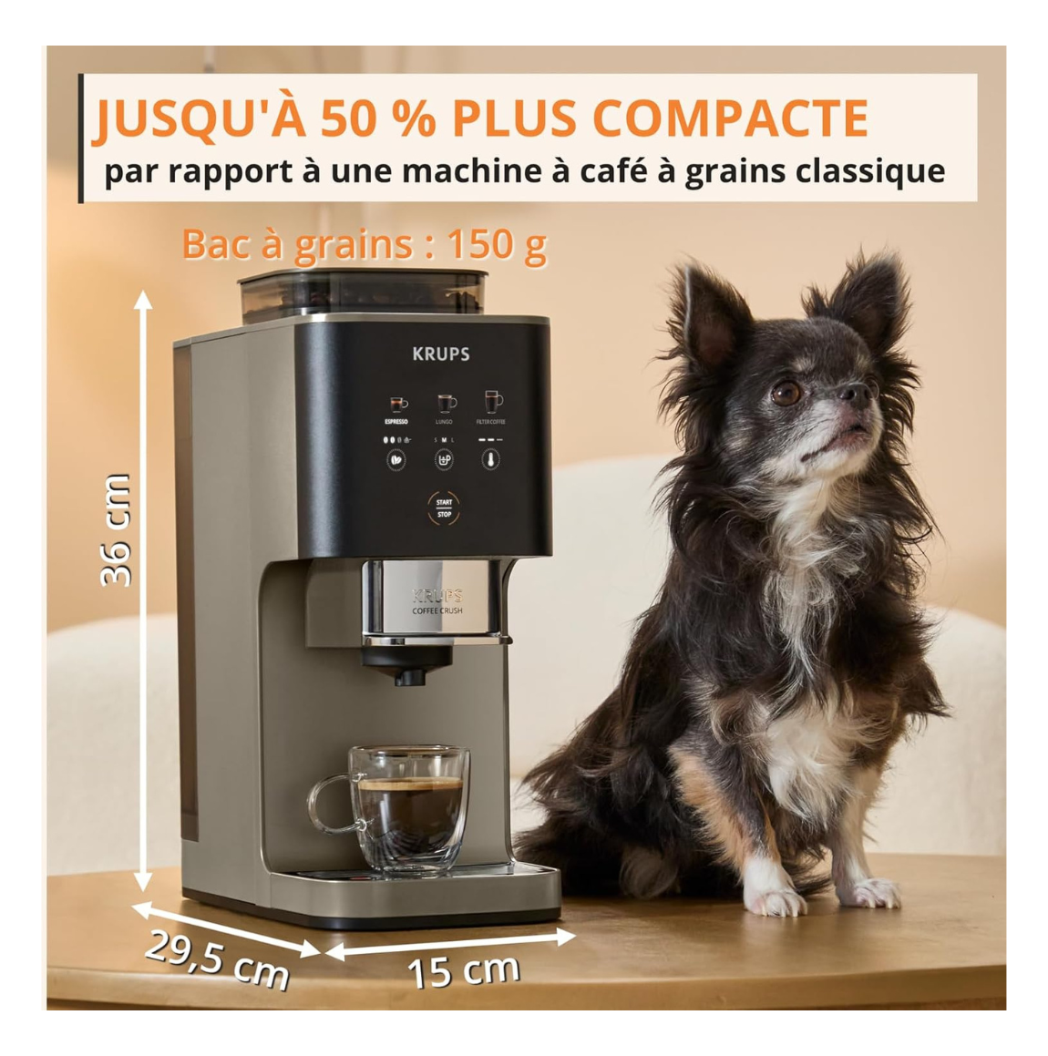 Texte alternatif de l'image