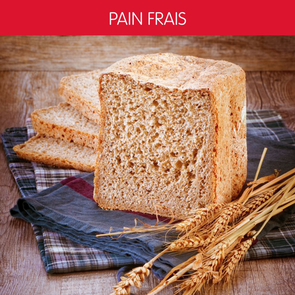 Texte alternatif de l'image