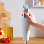 Mixeur Plongeant DailyChef 600W