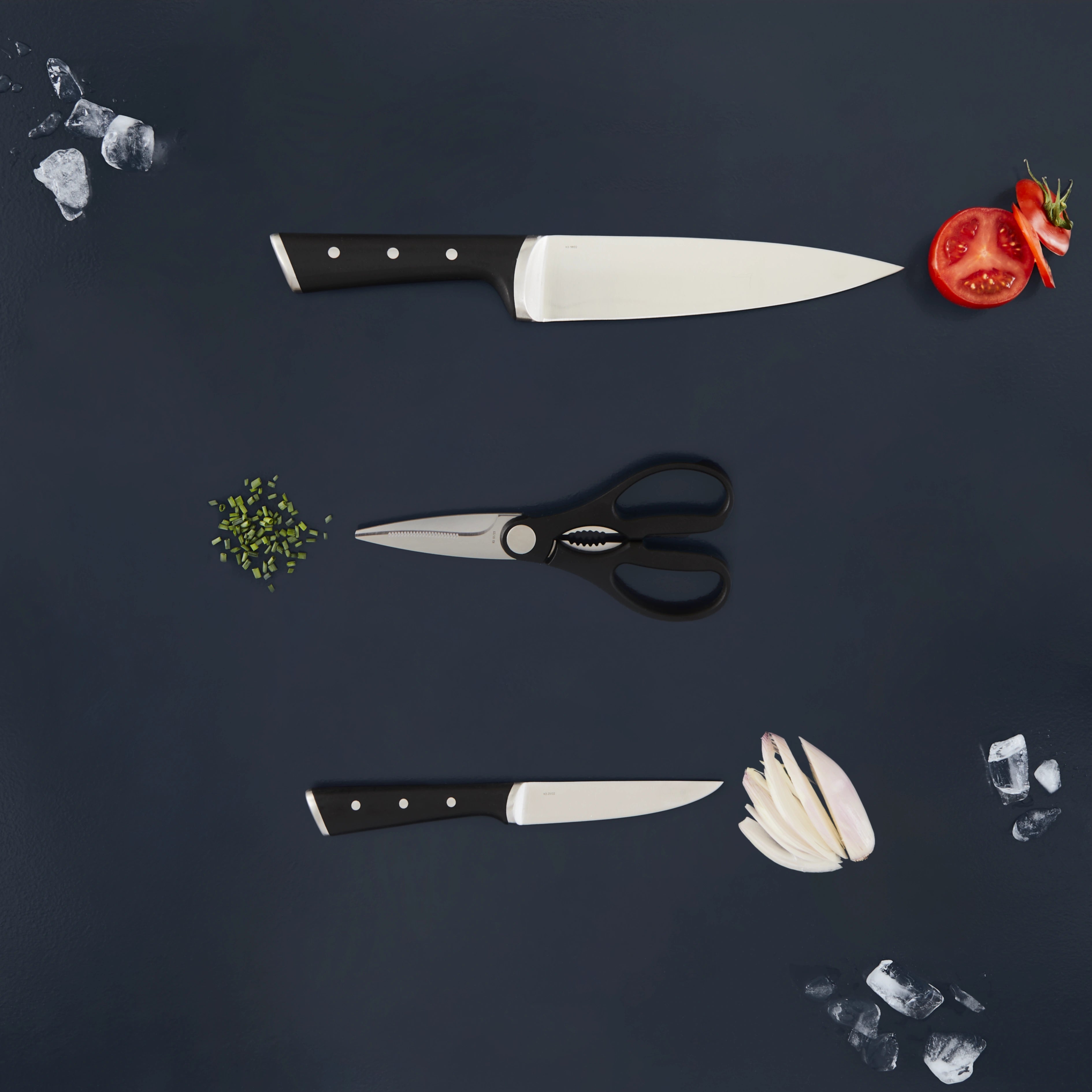 Texte alternatif de l'image