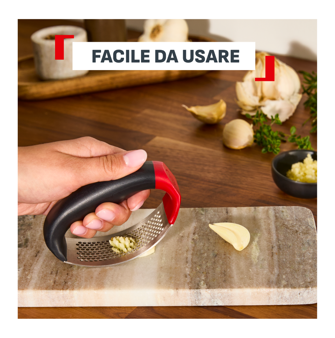 Presse-Ail Ingenio+ Inox