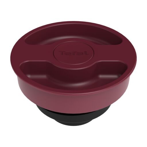 Texte alternatif de l'image