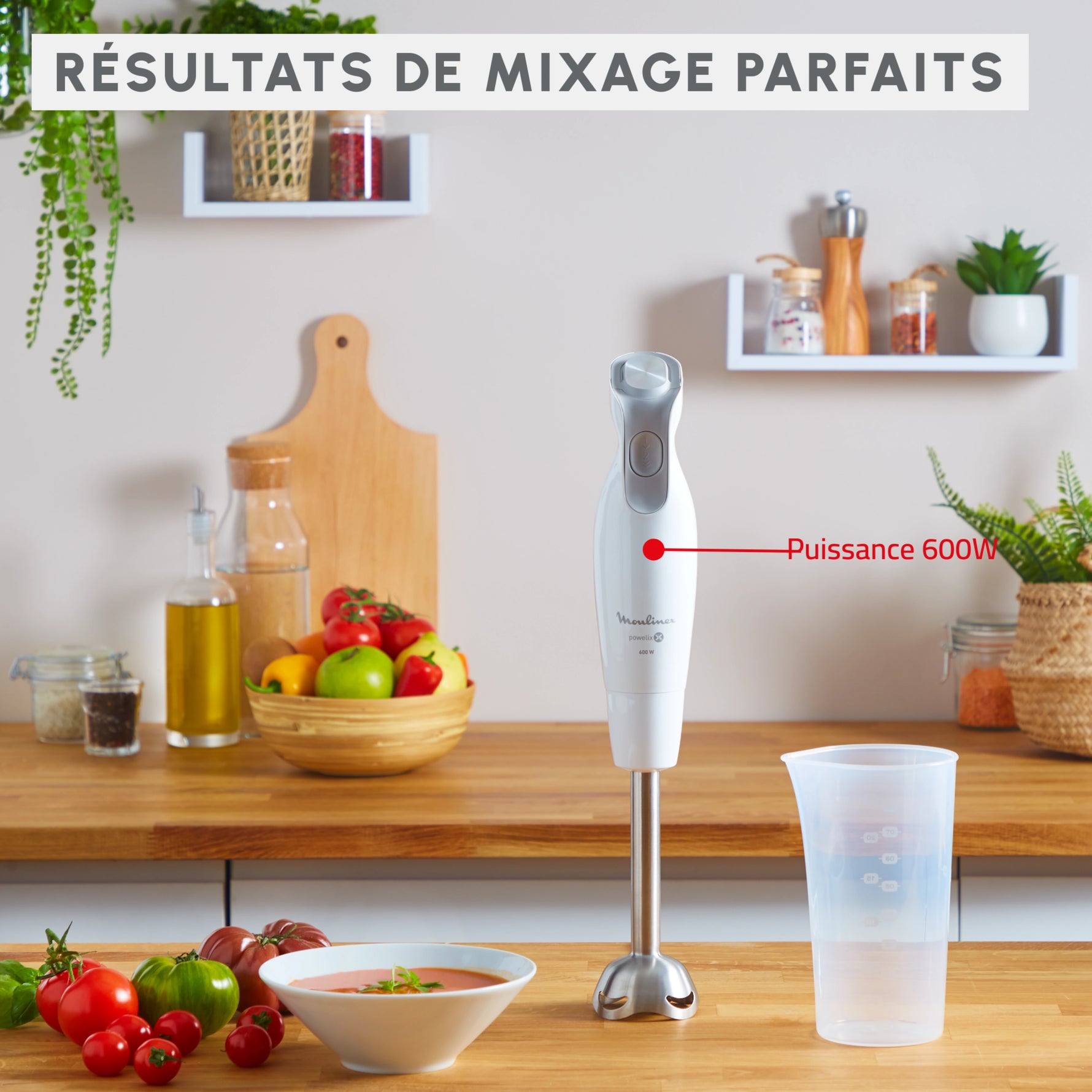 Mixeur Plongeant Daily Chef 600W