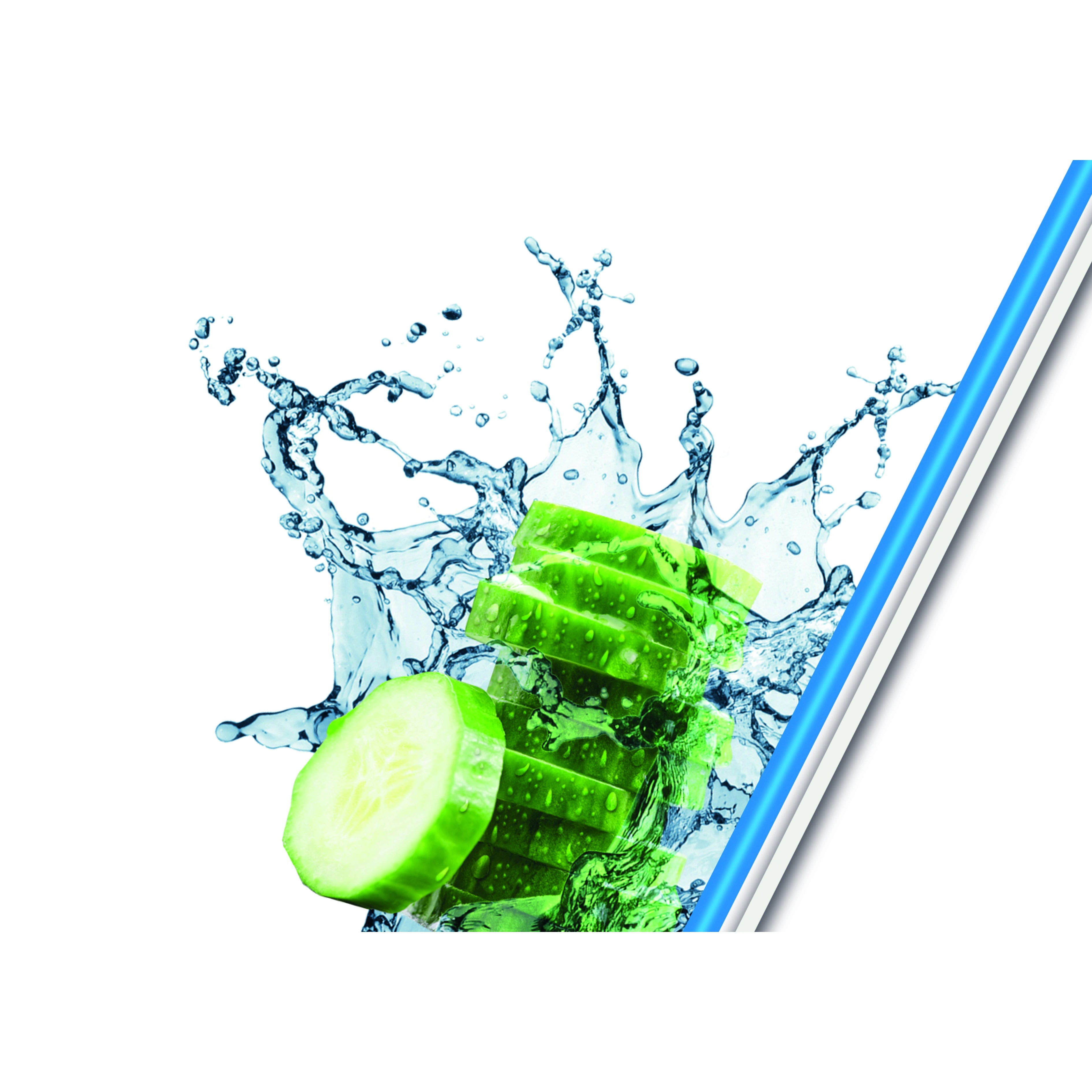 Texte alternatif de l'image