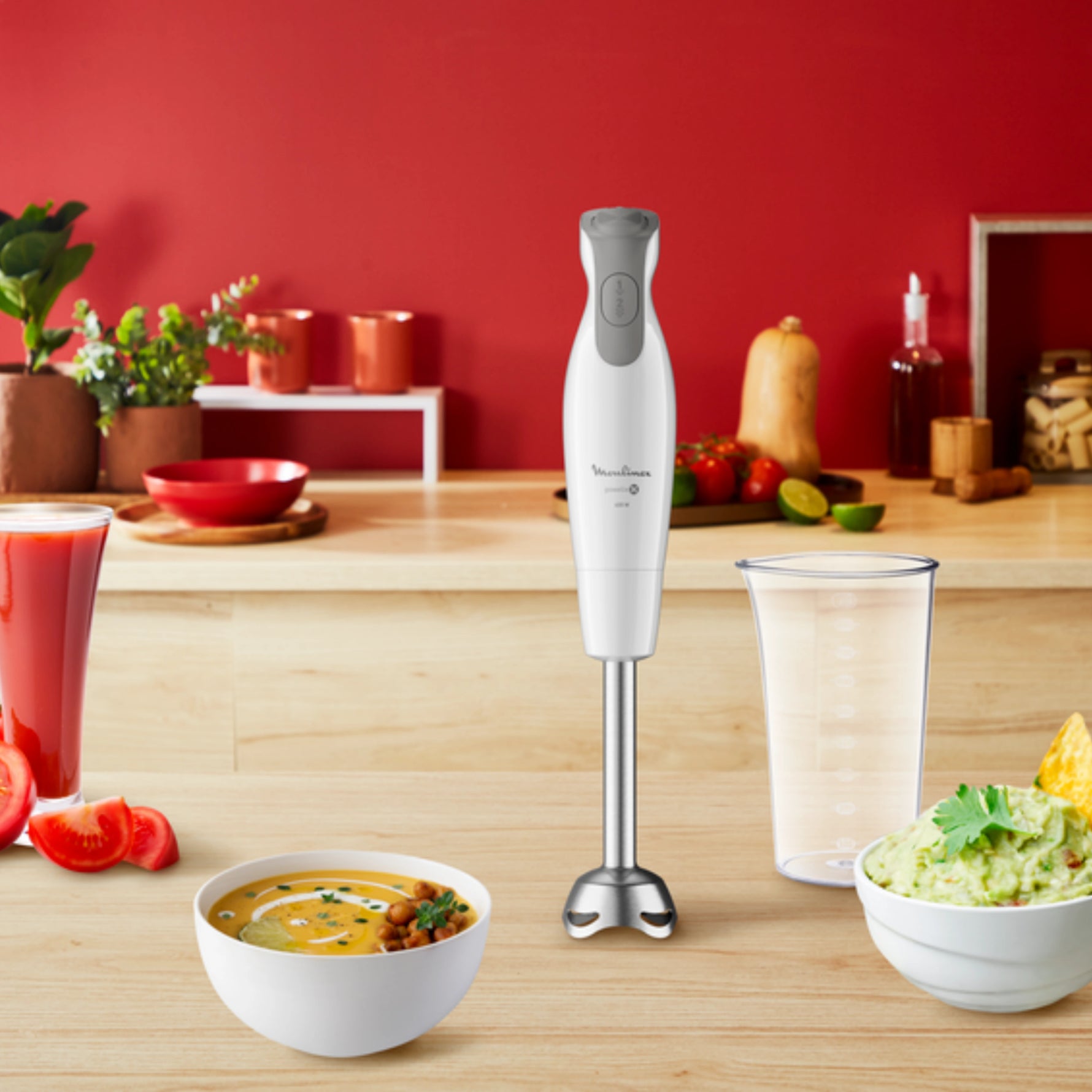 Mixeur Plongeant Daily Chef 600W