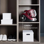 Aspirateur Sans Sac ROWENTA Compact Power XXL 900W