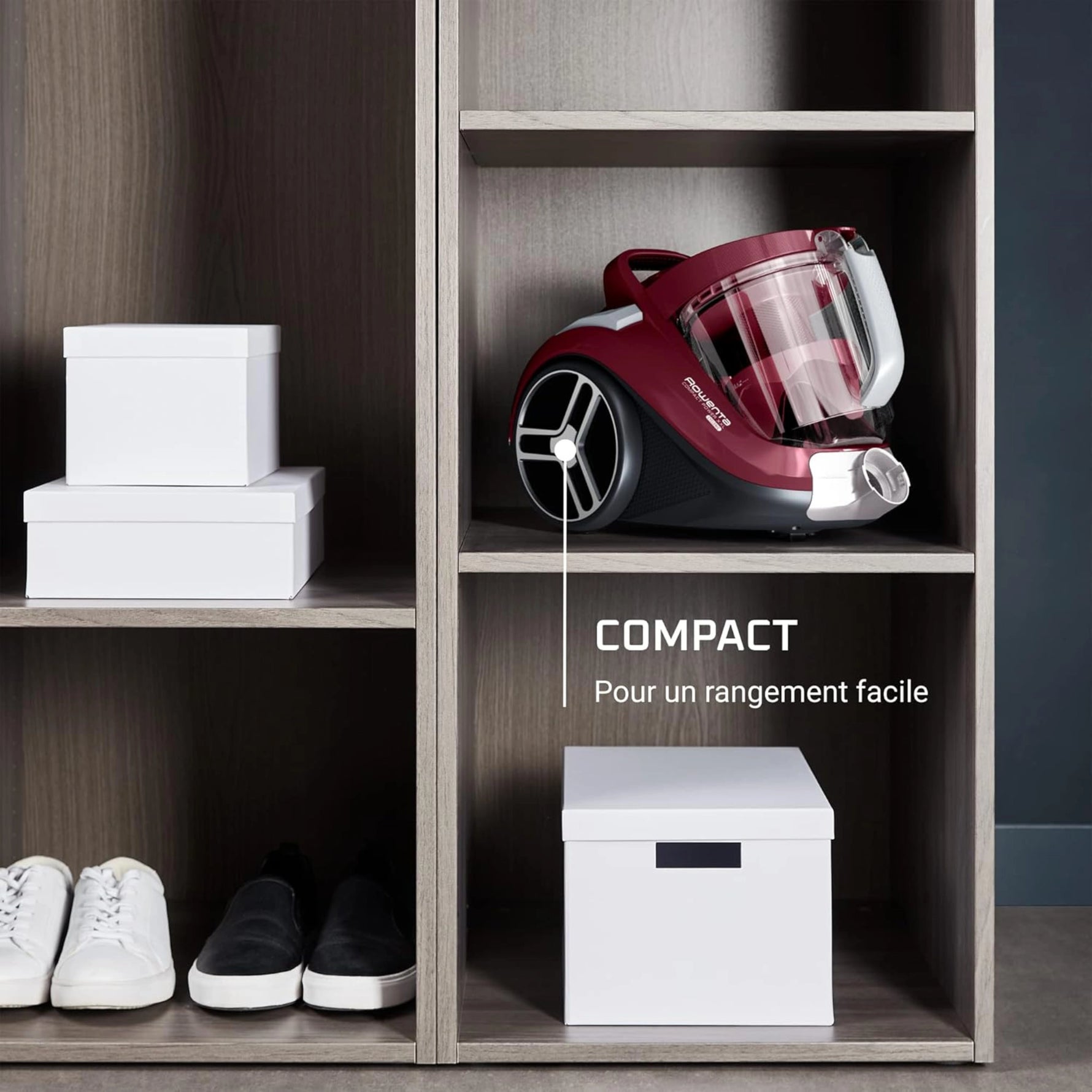 Aspirateur Sans Sac ROWENTA Compact Power XXL 900W