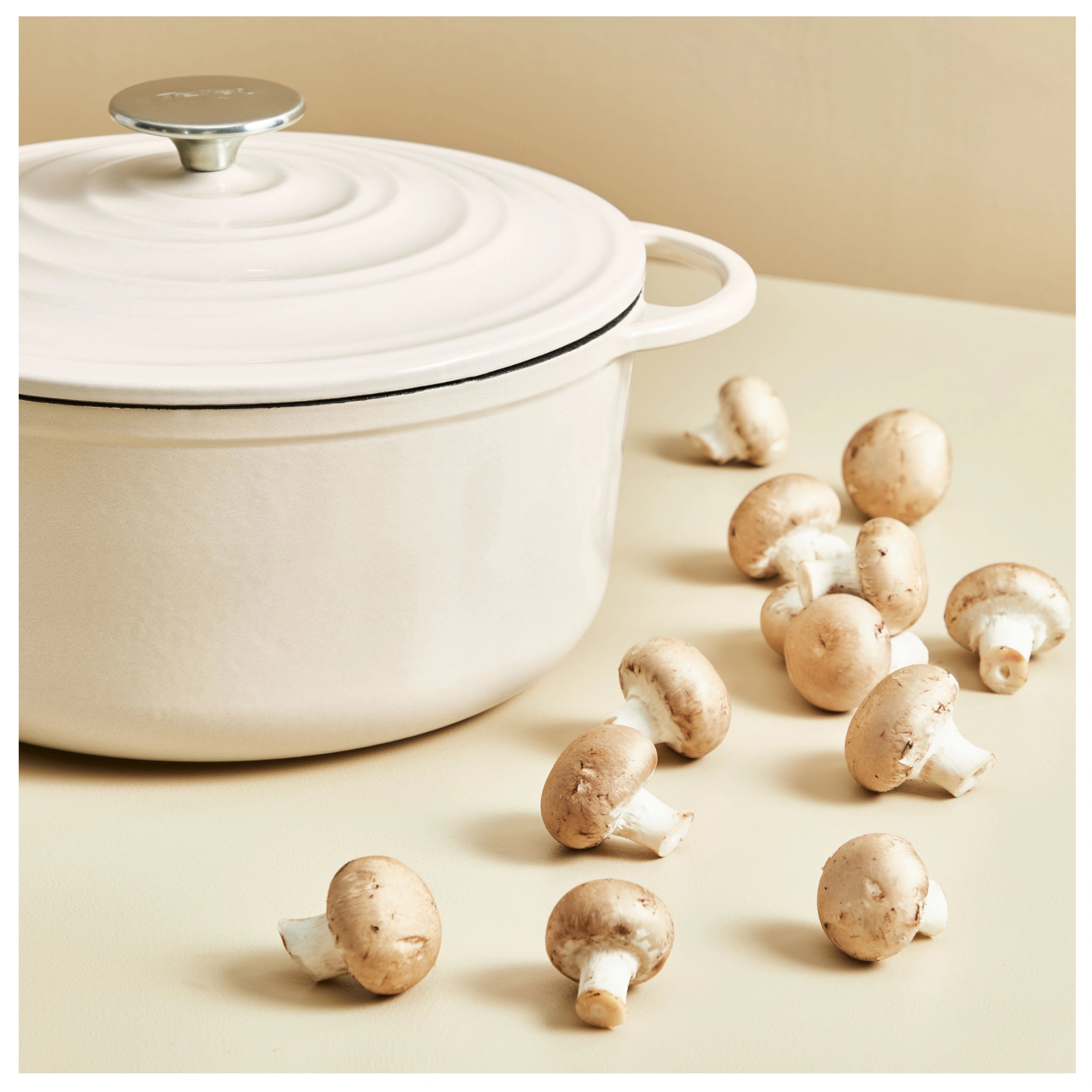 Texte alternatif de l'image