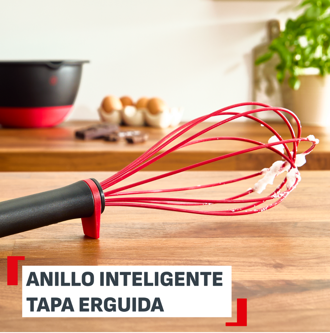 Fouet Silicone Ingenio+