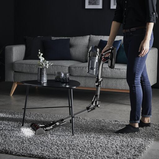 Aspirateur Balai Sans Fil X-Force Flex 14.60 Kit Animal