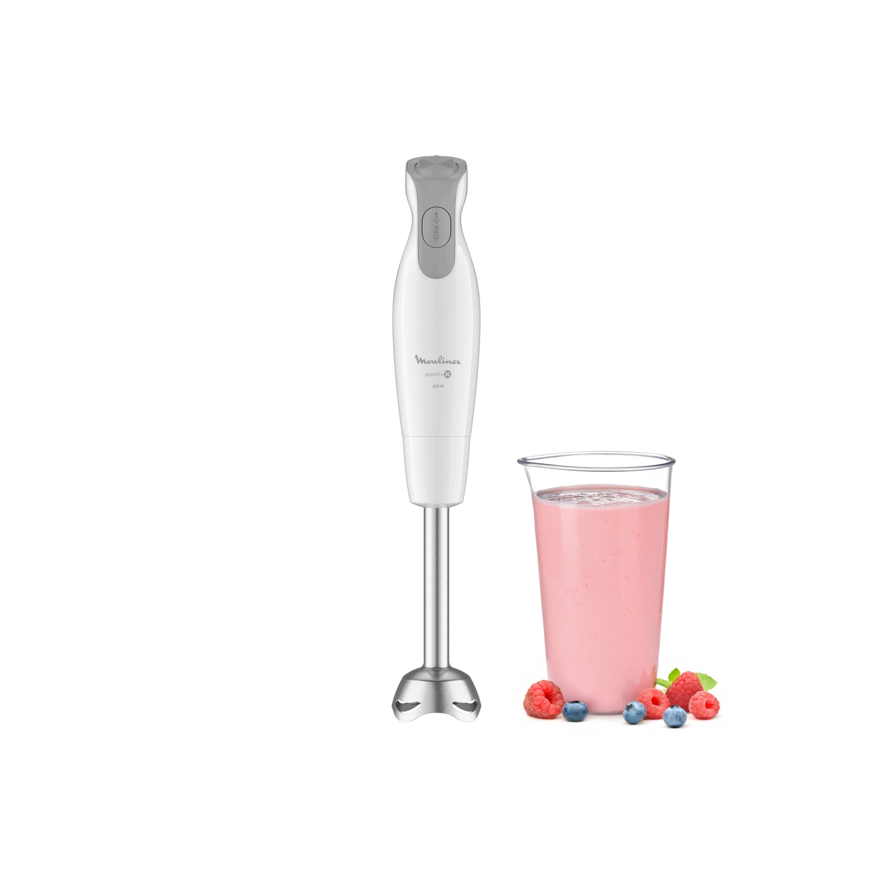 Mixeur Plongeant Daily Chef 600W