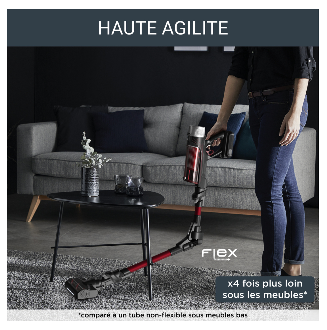 Aspirateur Balai Sans Fil X-Force Flex 9.60 Animal