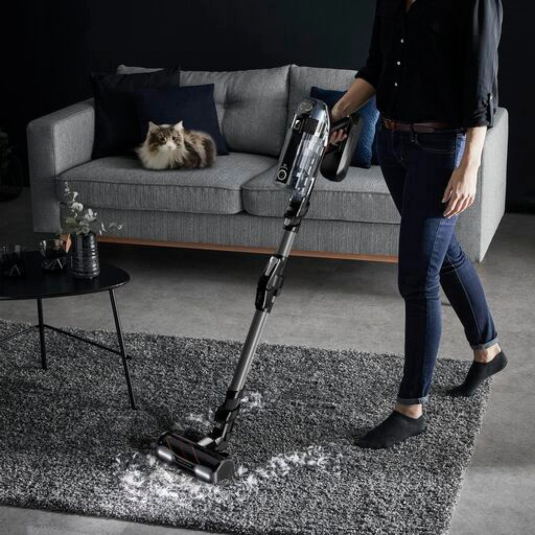 Aspirateur Balai Sans Fil X-Force Flex 14.60 Kit Animal